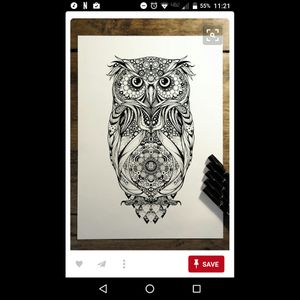 @amijames1 #dreamtattoo definitely would be this type of owl with emerald eyes. My grandmother passed away a couple years ago and I've been wanting an owl.💖 Her birthstone was emerald.
