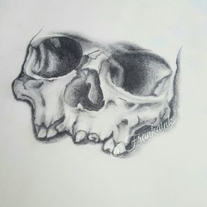 Skull design in progress