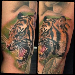 First full colour tiger I did