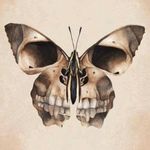 Gorgeous tattoo design 😍 #skull #butterfly #design #dark