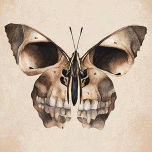 Gorgeous tattoo design 😍#skull #butterfly #design #dark