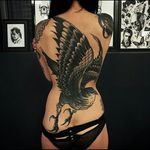 Interesting style, black & grey bird/crow/raven full back tattoo