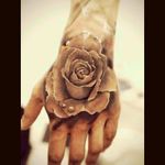 #rose #detail #gorgeous