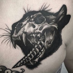 Todays tattoo inpiration 🖒 skulls, as usual 😍😎 #skull #animal #animalskull #animalhead #occult #awesome #bones #blackandgrey