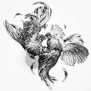 Something like this but disigned by @amijames definitely would be my #dreamtattoo #roosterfight #gallosdepelea  #cockfight #cock  @tattoodo
