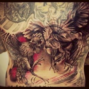 I am sure @amijames will do it much better! #dreamtattoo #cockfight #roosterfight #gallo #cock #rooster