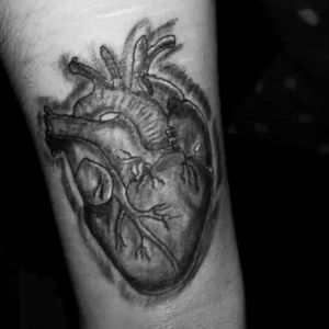 Human heart on my wrist #anatomicalheart #blackandgreytattoo