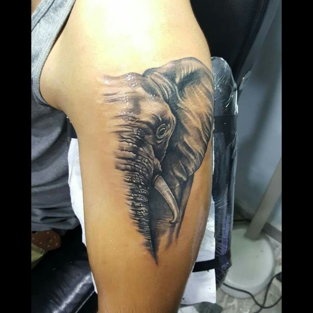 Skull Fashion Studio  Tattoo in Bhupalpura UdaipurUdaipurrajasthan   Best Tattoo Parlours in Udaipurrajasthan  Justdial