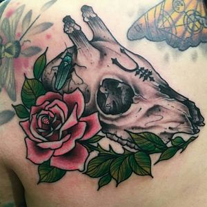 Shoulder piece by the highly talented Daryl Watson.#roedeer #skull #occult #rose #bug #amalgamation #DarkArt