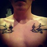 First professional tattoo from shop #swallows #chest #birds #blackandgrey #mum #dad