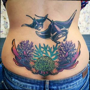 Tattoos for divers. Coverup and new Mantarays for my client. #tattoo #marinetattoo #fishtattoo #mantaraytattoo #coraltattoo #coveruptattoo #naturetattoo #divertattoo #oceantattoo #color #mantaray #diver #shanerascal #shanetattoostudio #rascalink #chikaikemamantattoo