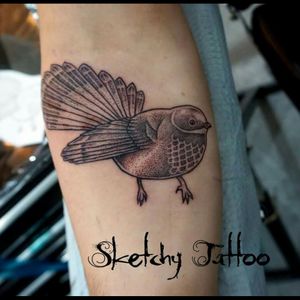 #fantail #bird #dotwork #blackwork #nztattoo #kakapoink #sketchytattoo