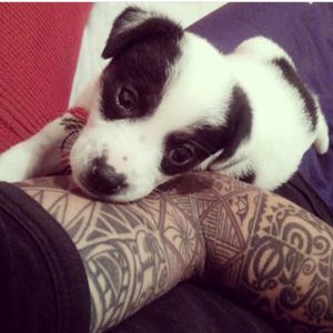 #InkForGood  #dog #dogmarley #melhoramigodohomem #dogs #tattoos #tatted #tattooart #tattoobrasil #tattoomaori #tattoogeometric #tattoolife #tattoolifestyle#goodvibes
