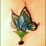 Colorful butterfly - 1st full color I did #tattoo #colortattoo #butterfly #backtattoo #detailed #tattooedgirl #inkedgirls #CostaRicaTattoo #AndrésPeñaTattoos