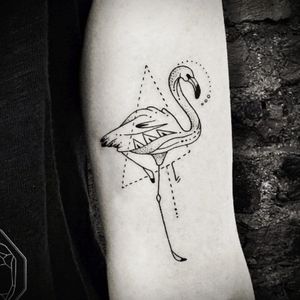 Flamingo by Bicem Sinik