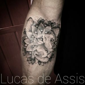 #tattoo #tatuagem #portalegre #mandala #lion #leao #dotwork #pontilhismo #blackwork#brasil #starbritecolors