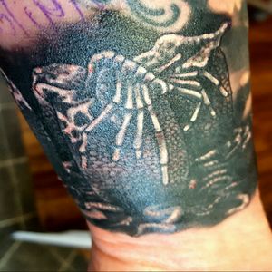 Another piece of my last GigerAlien sleeve sitting. Alien eggs with face hugger on my wrist.