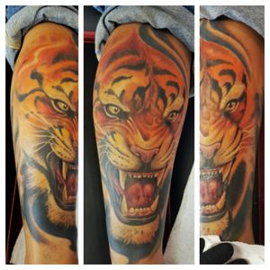 Done freehand Tiger on calv