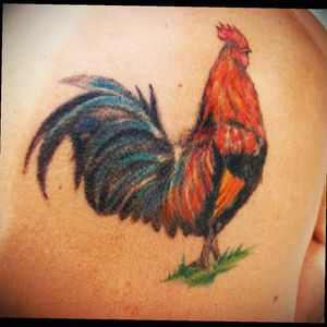 #rooster #roostertattoo #gallo