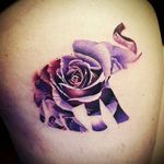 Pretty tattoo by #antbate at MLTC Chester #elephantrose #elephant #rose #watercolortattoo