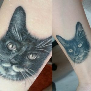 My tattoo: first day/after 145 days It represents my cat named "Pisică" (wich actually means "Cat"). I'm totally in love with her ♡ #cat #blackandgreytattoo #blackandwhitetattoo #spiritanimal #animalhead