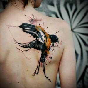Just amazing... #beautiful #details #bird #color #colortattoo #tattoo #backpiece #backtattoo #like #amazingwork