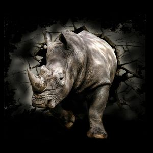 I want  this Rhino in my arm!