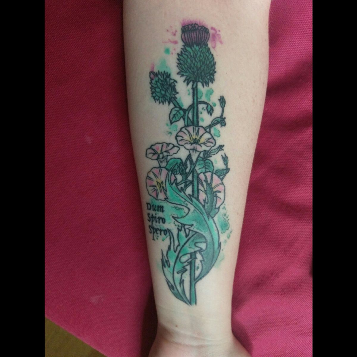 Tattoo uploaded by Lara • Thistle and bindweed with a touch of watercolour.  Memorial for my dad. Dum Spiro Spero - while I breathe I hope maclennan  clan motto. Done by Sylus
