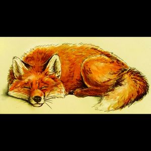 This would be my #dreamtattoo ! Comfortable sleeping fox, but still a fox; cunning, sly, stalking, observing and intelligent.