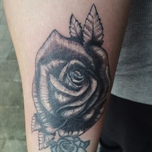 Touched up this rose I did a few weeks ago!