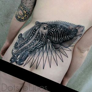 Cuttle fish by Dots to Lines #dotstolines