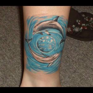 Dolphins and earth