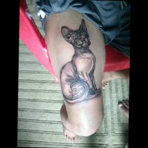 Sphynx cat tattoo...#sphynxcat#blackandgrey#tattooart#nepal...