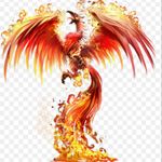 #megandreamtattoo have always wanted Megan to do a killer Phoenix on my side.