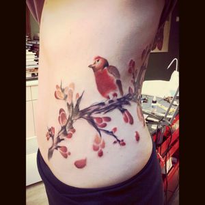 Robin in a plum blossom tree, tattoo by Phillip Spearman #robin #bird #cherryblossom #plumblossom