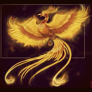 #megandreamtattoo A Phoenix tattoo is the ultimate tattoo for me I dream about having this and one day i will defiinetly have it done.