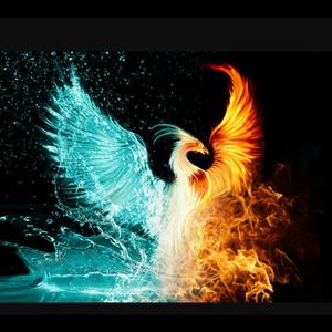 #megandreamtattoo My dream to have Love phoenix tattoos