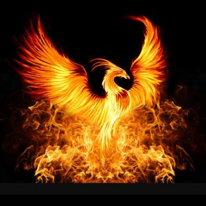 #megandreamtattooI have wanted a phoenix tattoo for the longest time but to have such an amazing piece you have to find the right artist who can make it come alive and i know Megan Massacre could do that.