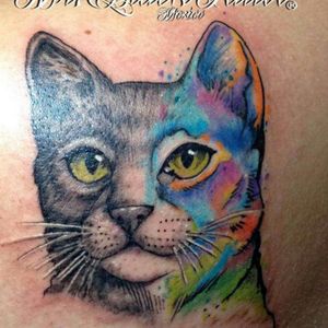 #megandreamtattoo I'd love a portrait of my long-time best friend, my pussycat 💙 since Megan loves pets, I'n sure she understands hows important a pet can be...