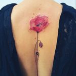 in love.. #paparouna #watercolortattoo #watercolor #aquarela #aquarelltattoo #beautiful #unique #girly #style #pastel #red #flower #backpiece #backtattoo #romantic