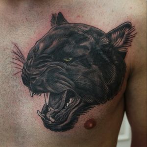 Panther - Fresh - Cover Up.