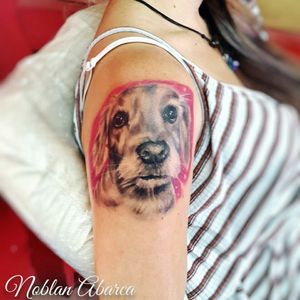 This my work, portrait dog #tattoo #Tattoodo #portrait #blackandgrey #CostaRicaTattoo #noblan_abarca_tattoo_artist #realism