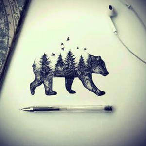 Bear and the forest