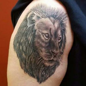 #Lion #CoverUp #5Days#Tattoo42