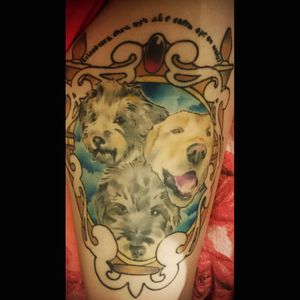 #dog #dogs #doglover #doglovertattoo #realistic #surrealism #portrait #tattoo #inkedgirl