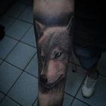 #wolf #wolves #tattoodo #electricink #inkedlife #tattoolife