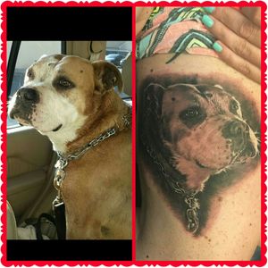 Laila my dog that passed away. Done by popotattoo