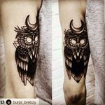 My owl tattoo #owltattoo #blackandgraytattoo  #blackwork