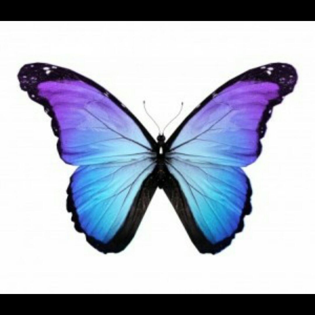 Lizards Skin Tattoos  A blue Butterfly tattoo design is typically a sign  of good luck Sometimes a blue butterfly is viewed as a wish granter Butterfly  tattoos are placed on various