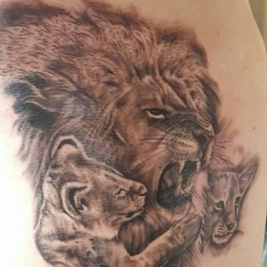 Lion and 2 cubs represents me and my two kids